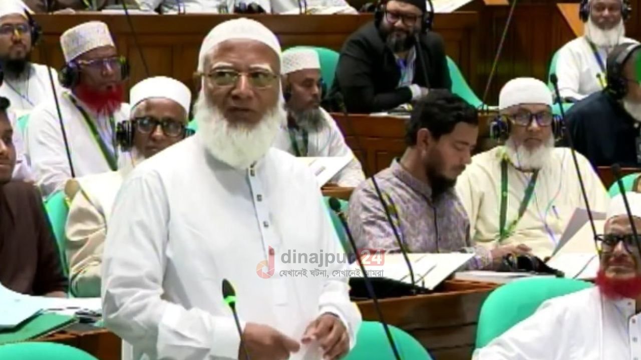 স্বরাষ্ট্রমন্ত্রী চমৎকারভাবে মিথ্যা বলেন: শফিকুর রহমান