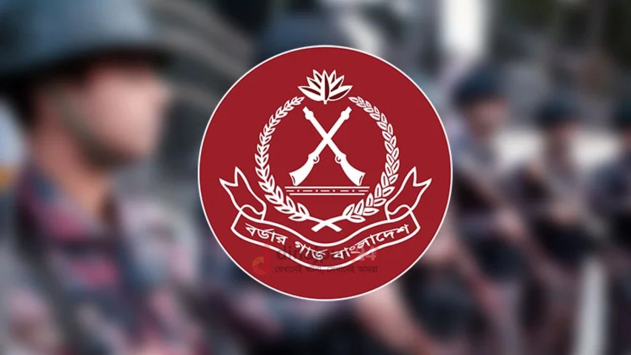 সোনারহাট সীমান্তে বিএসএফের গুলির জবাবে বিজিবির পাল্টা ফায়ার